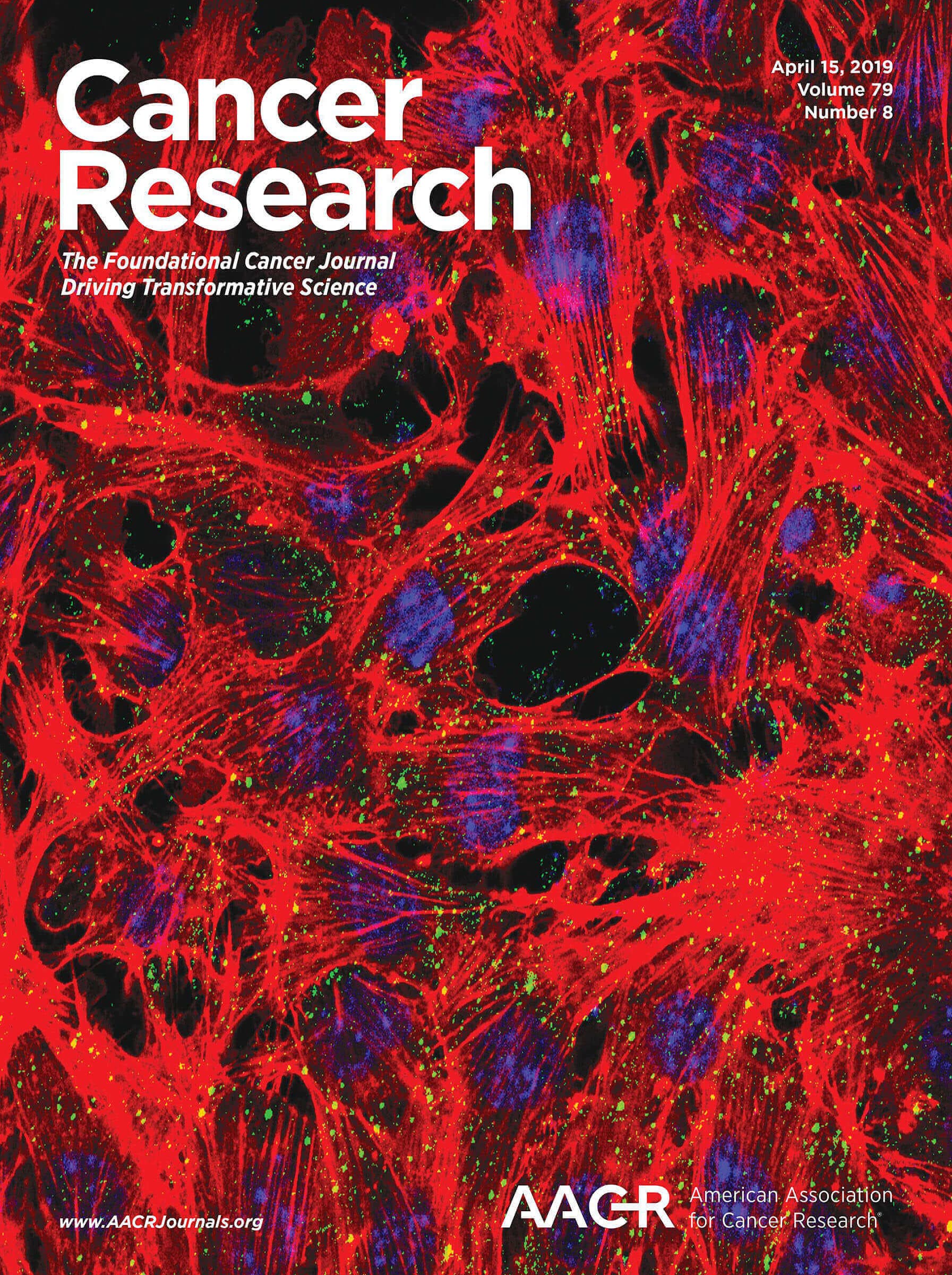 Harnessing STING signaling and natural killer cells overcomes PARP inhibitor resistance in homologous recombination deficient breast cancer Publication Image